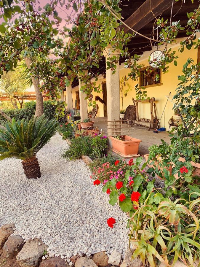 Вилла Agriturismo Da Lino Agripizza Samugheo Экстерьер фото